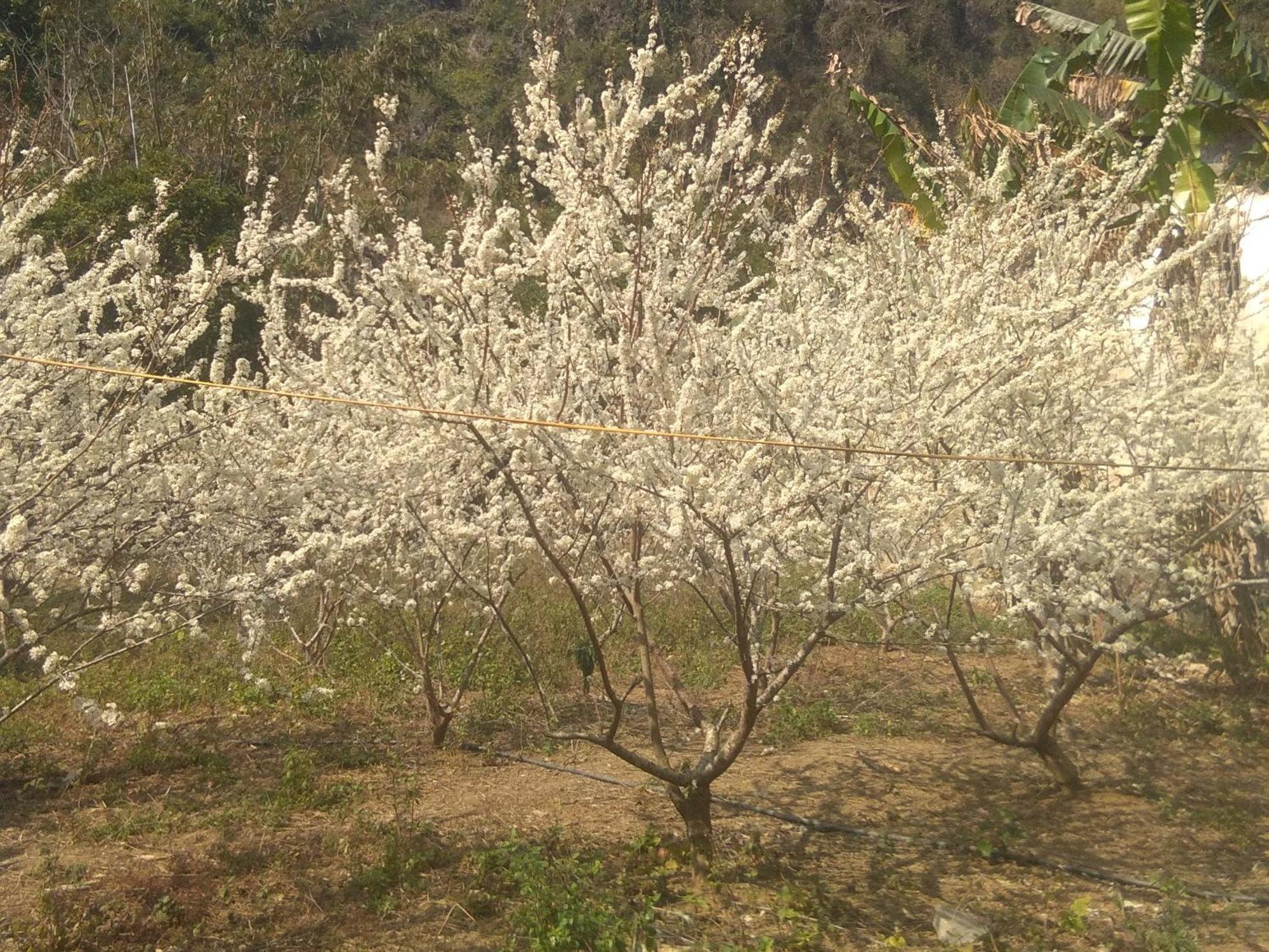Trieu Chuong Homestay Cao Bang Exteriér fotografie